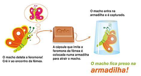 Armadilhas de feromonas